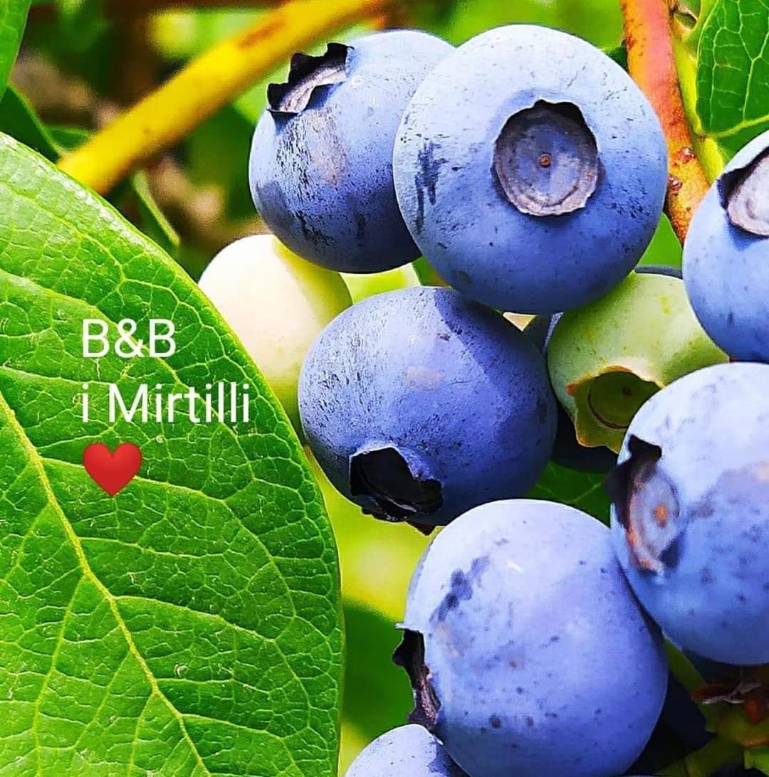 Pianezze I Mirtilli المظهر الخارجي الصورة